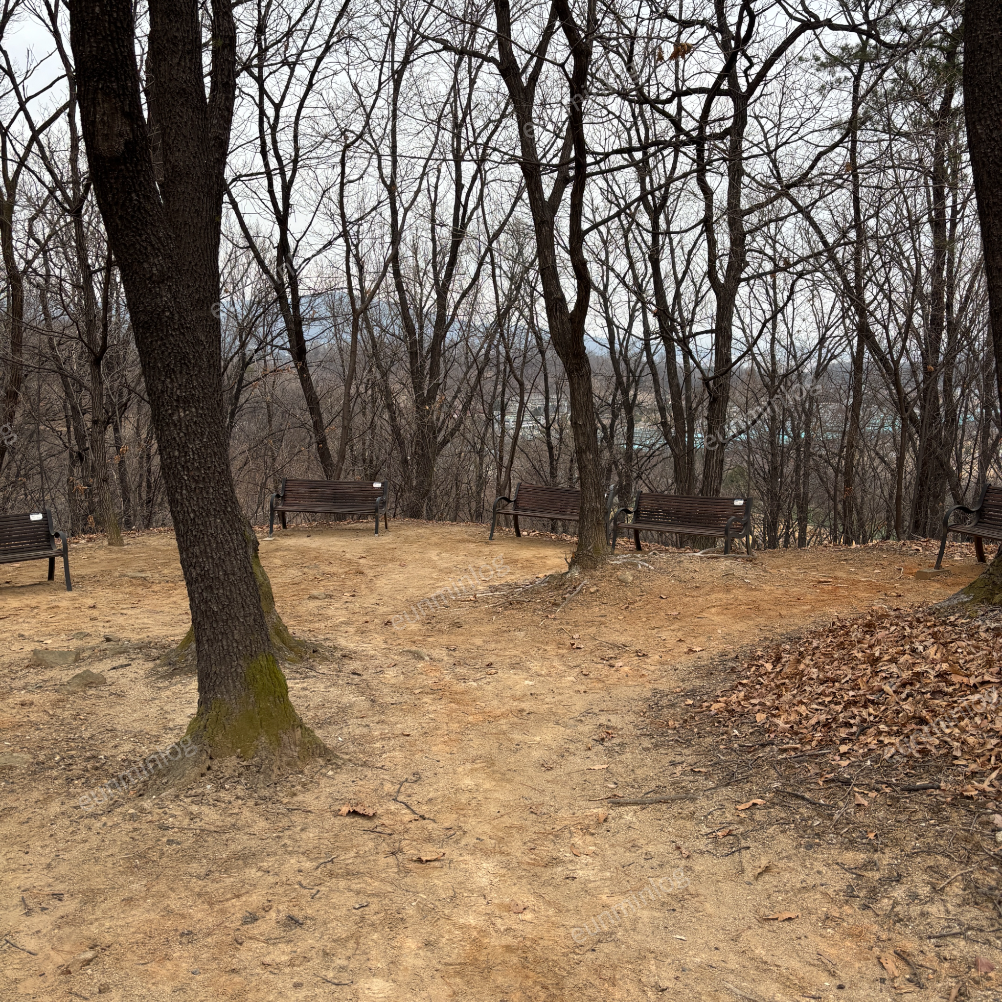 盘桥 博特得尔公园 全景