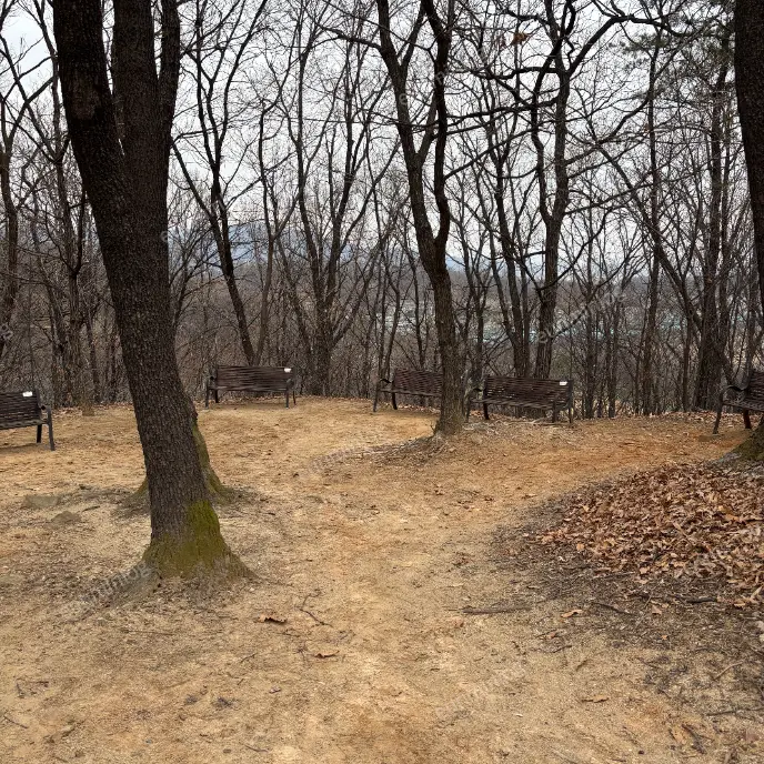 판교 데이트 봇들공원 전경