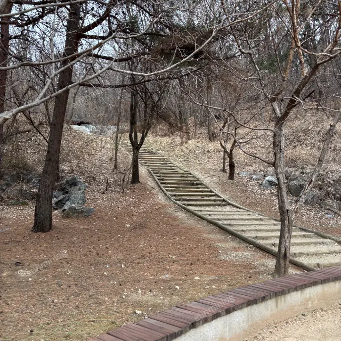 판교 데이트 봇들공원 오르막길