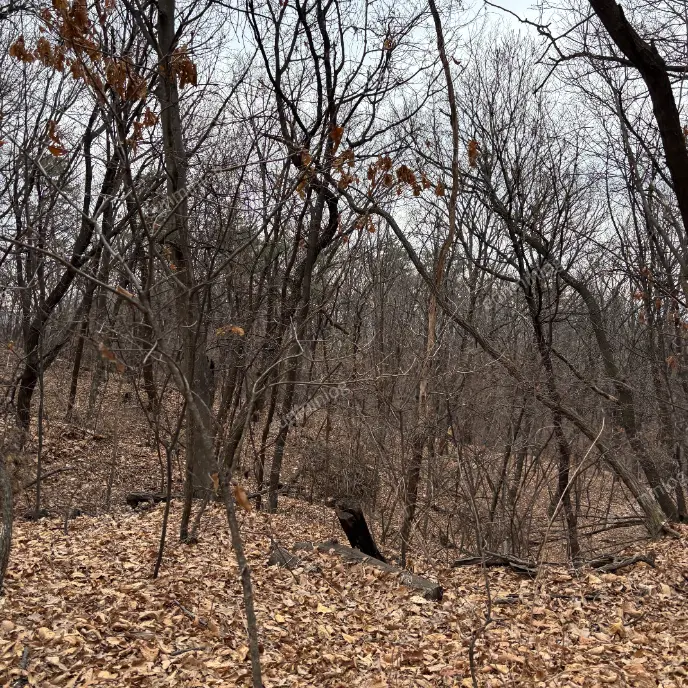 판교 데이트 봇들공원 전경