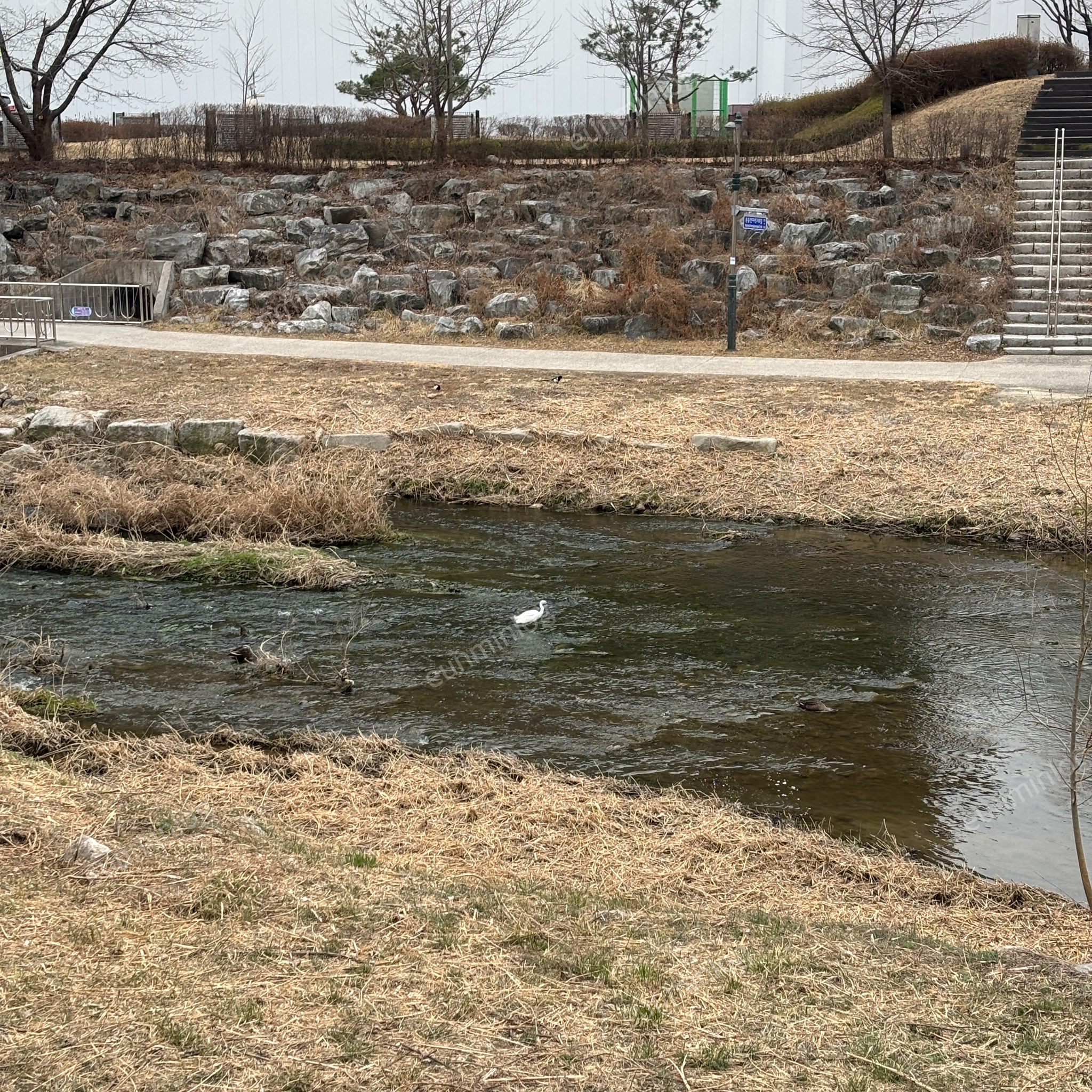 盘桥 盘桥科技公园 河畔景观