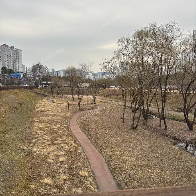 판교 데이트 봇들저류지 공원