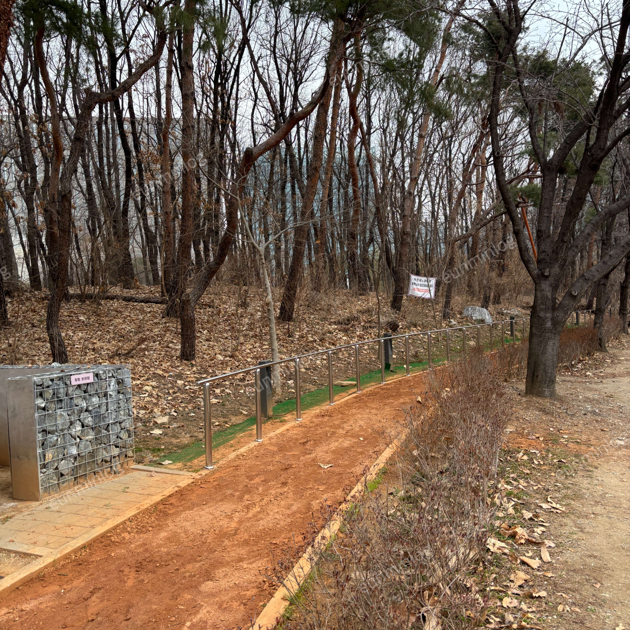 盘桥 华朗公园 土路