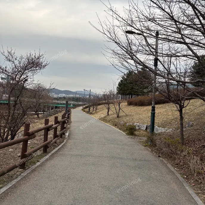 판교 데이트 판교테크노 공원