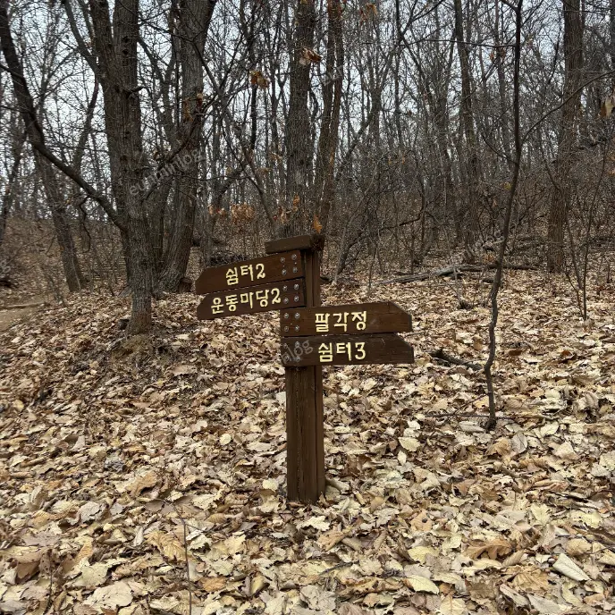 판교 데이트 봇들공원 팻말