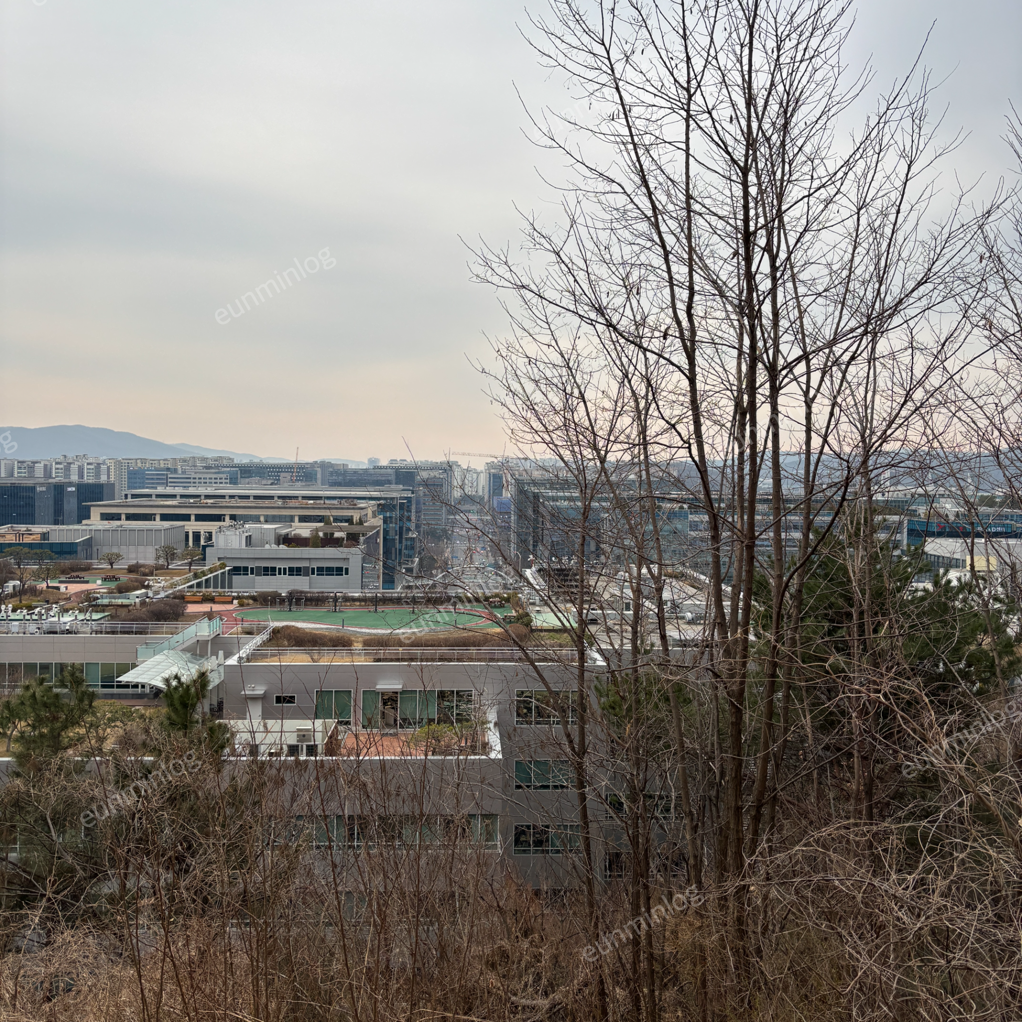 盘桥 博特得尔公园 八角亭 观景