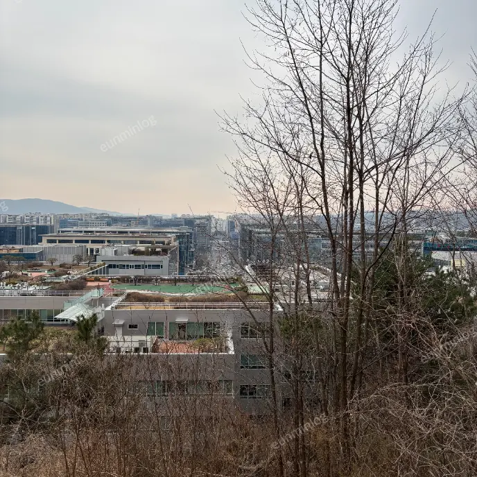 판교 데이트 봇들공원 팔각정 뷰