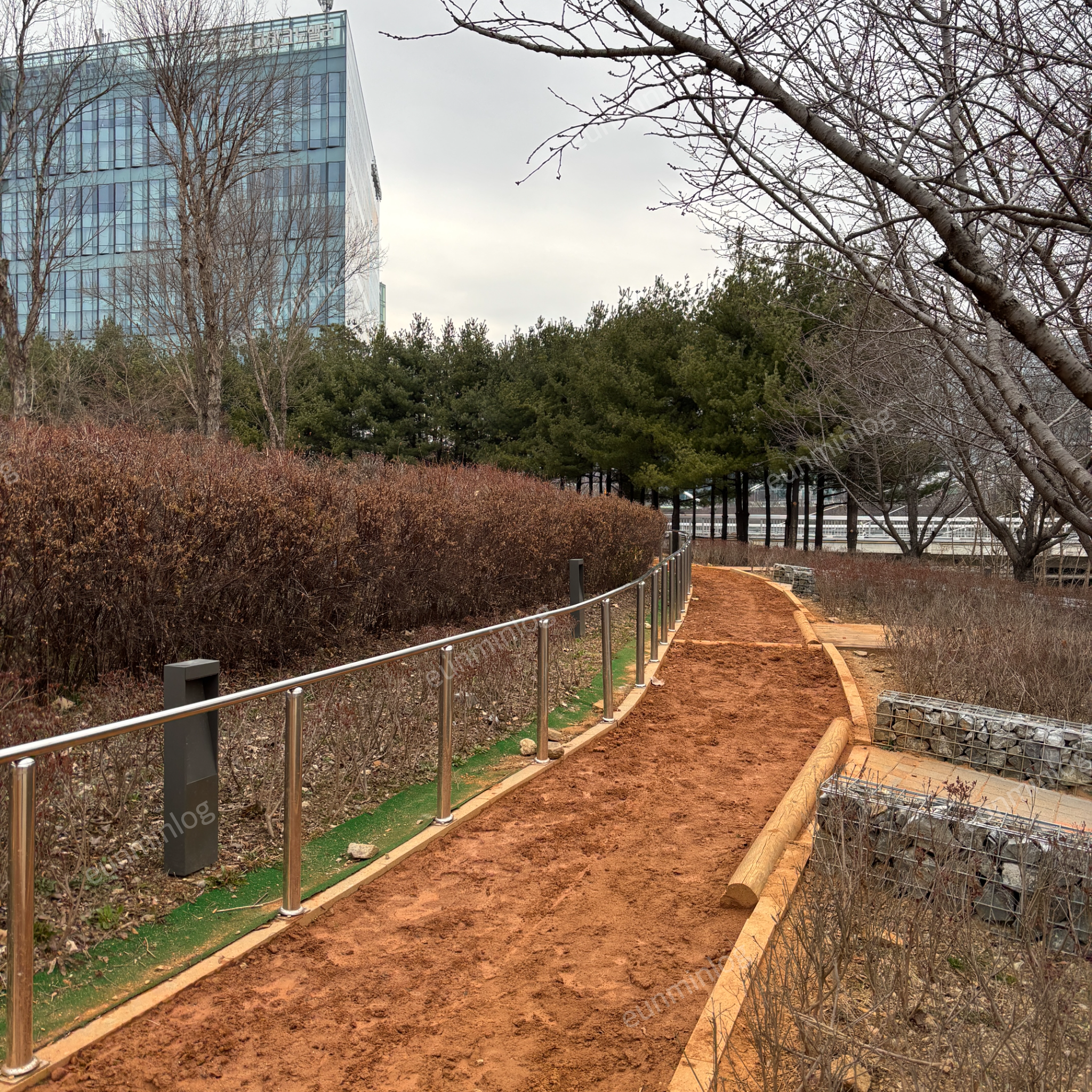 盘桥 盘桥科技公园 喜鹊特写