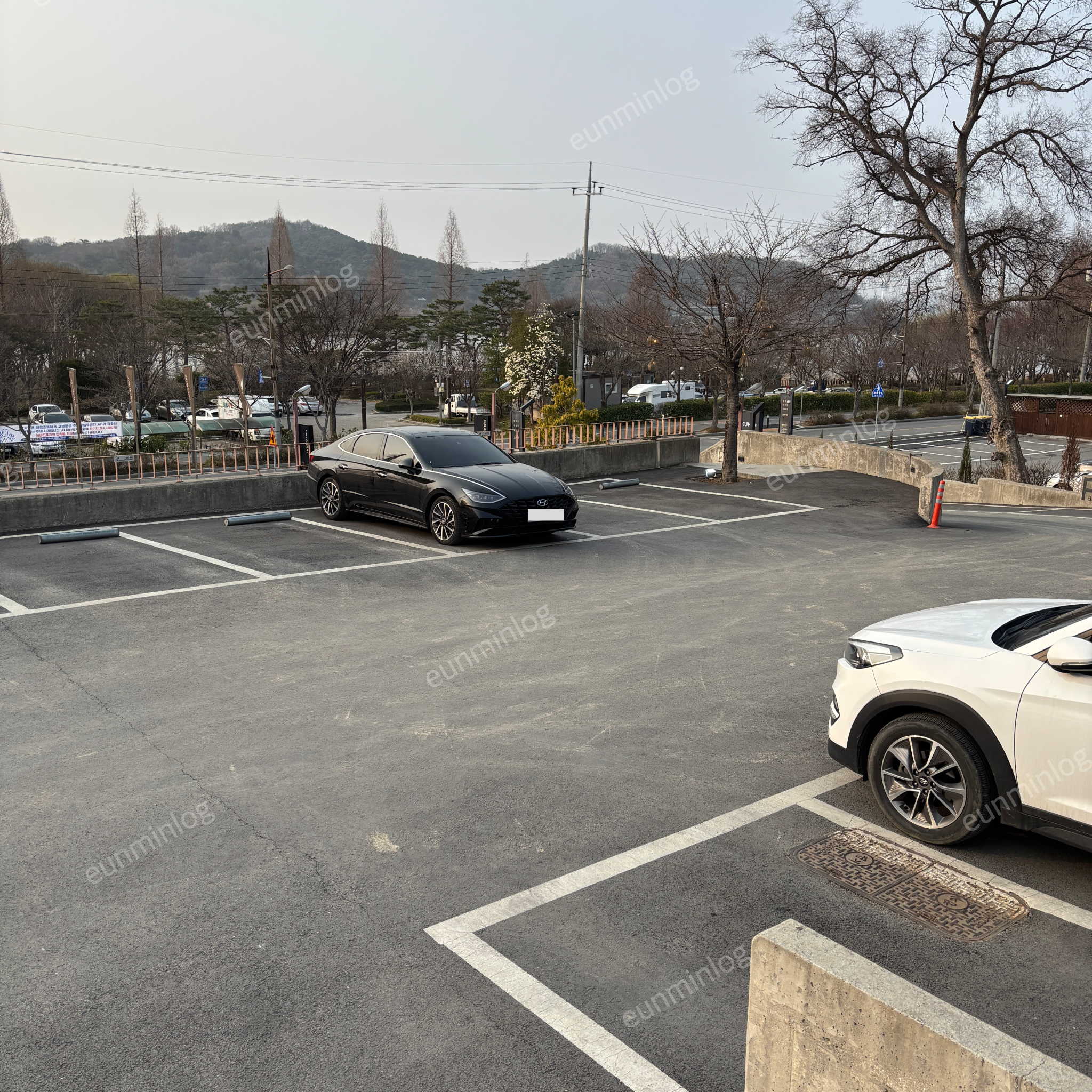 牙山 新井湖 安乐咖啡馆 停车场