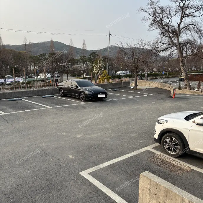 牙山市 新井湖 安樂咖啡館 停車場