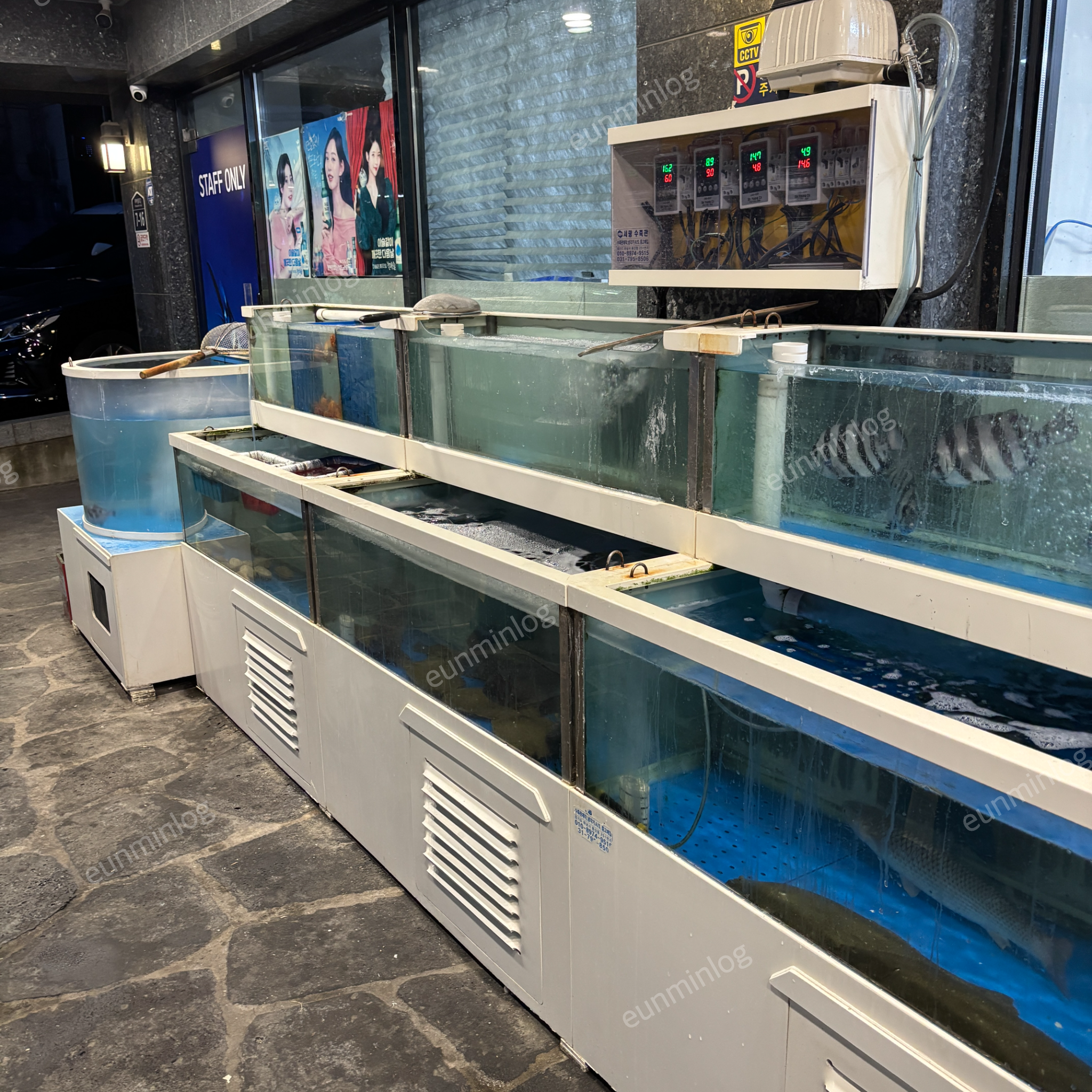 渭礼鱼片三叔 - 水族箱