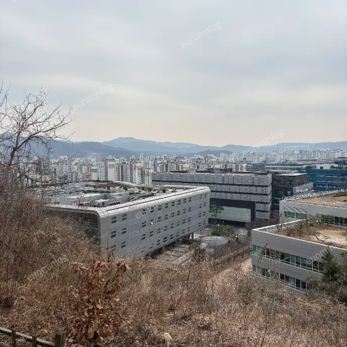 판교 데이트 봇들공원 팔각정 뷰