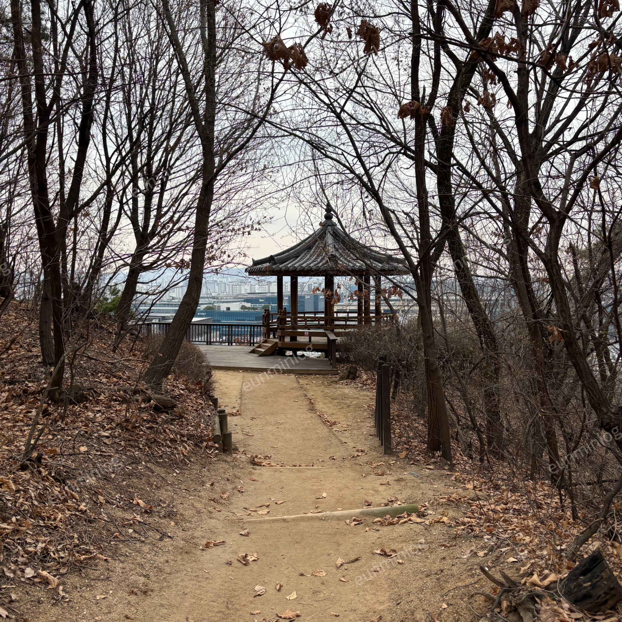 盘桥 博特得尔公园 八角亭