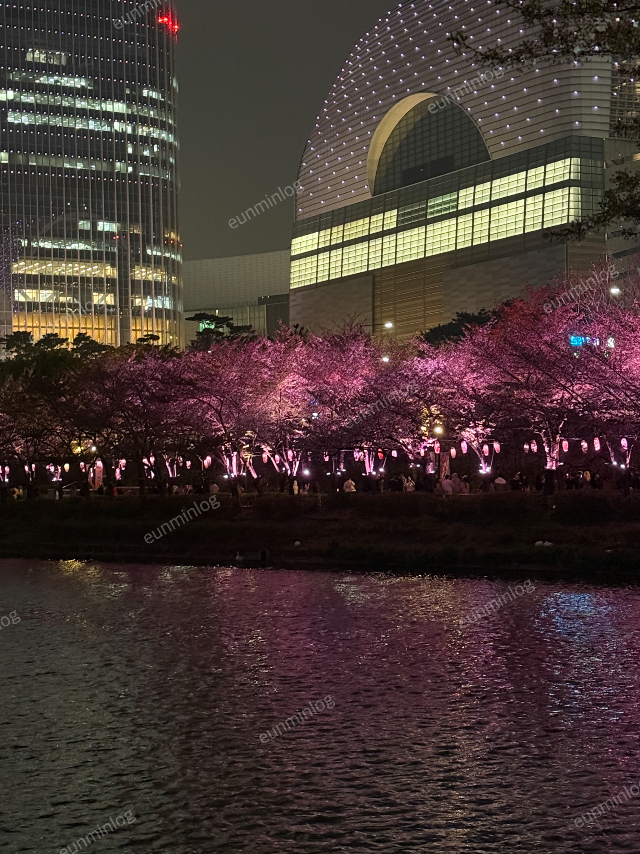 서울 잠실 벚꽃 명소 썸네일