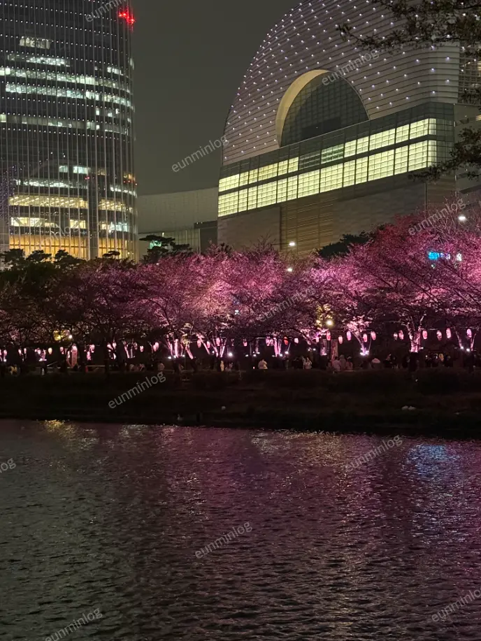 서울 잠실 벚꽃 명소 썸네일