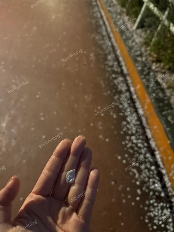 서울 잠실 벚꽃 명소 | 석촌 호수 공원 벚꽃잎