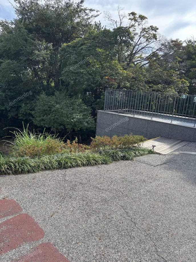 남산 정상에서 해방촌 방향으로 내려가는 숲길 입구