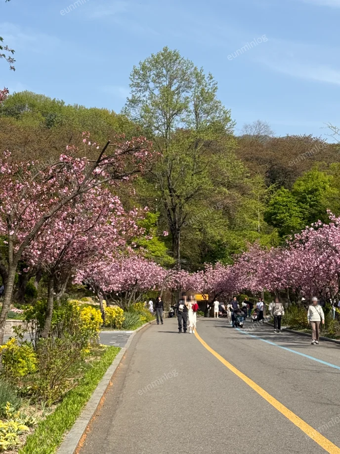 서울대공원 서울동물원 4월 풍경