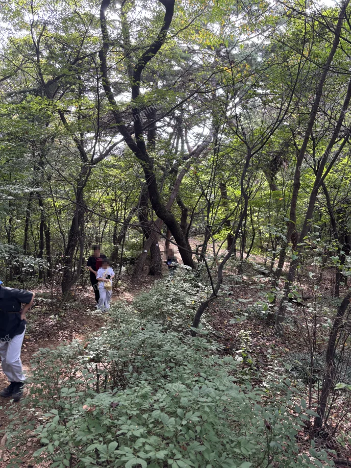 돌과 흙길이 이어지는 남산 해방촌 방향 등산로