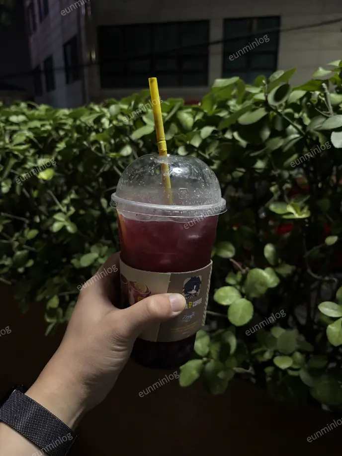 메가커피 은랑 큐브 레몬에이드 솔직 후기 썸네일